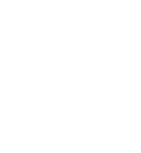 Logo 31