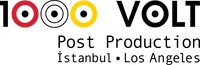1000 Volt