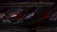 Backdrop 52