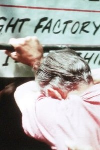 American Alternative