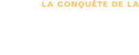 Logo 7