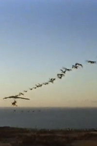 Poster for The Ultra Geese