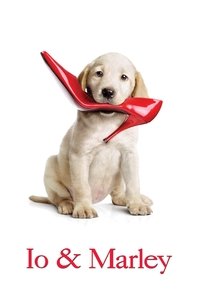Poster 13
