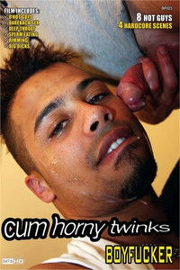 Poster for Cum Horny Twinks