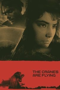 Poster 24