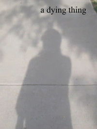 Poster for a dying thing