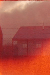 Poster for The Limits of Looping