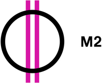 M2