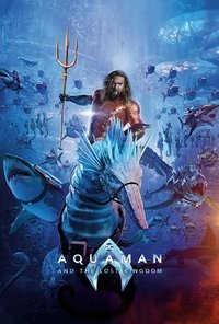 Poster 24
