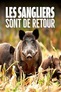 Poster for Wild Boar: The Comeback