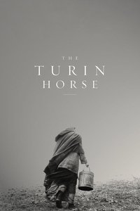 Poster 5