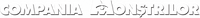 Logo 16