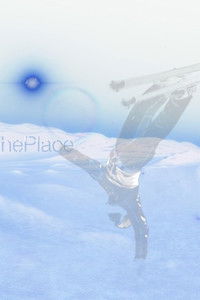 Poster for Autopoiesis