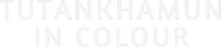 Logo 0