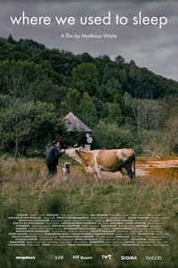Poster for Where We Used to Sleep