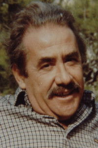 Profile of Giannis Negrepontis