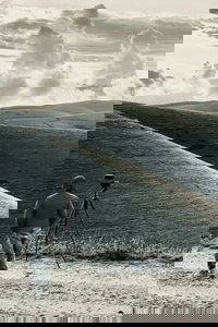 Poster for The Road To Podestaria