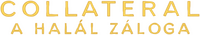 Logo 15