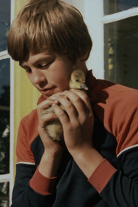 Poster for Vilsandi, mu kodu