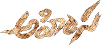 Logo 0