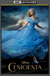 Poster 113
