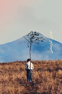 Poster 13