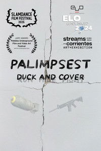 Poster for Palimpsest