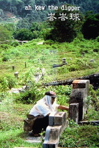 Poster for Ah Kew the Digger