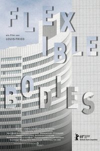 Poster for Flexible Bodies