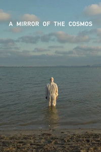 A Mirror of the Cosmos