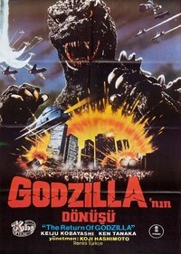 Poster 27