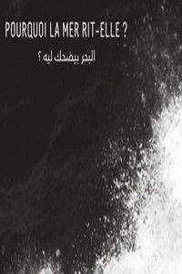 Poster for Why Does the Sea Laugh?