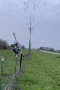 Fence Hoppers