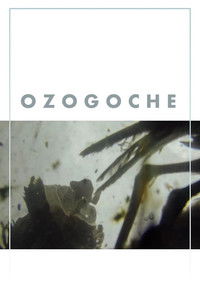 Ozogoche
