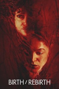 Poster 13