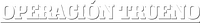 Logo 13