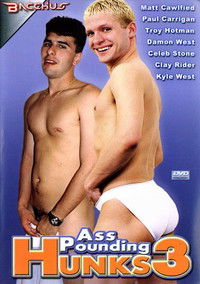 Poster for Ass Pounding Hunks 3