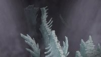 Backdrop 8
