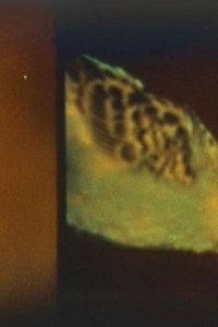 Poster for Nightmare Series