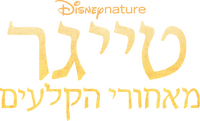 Logo 0