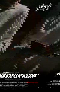 Shadow of a Gun