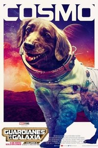 Poster 153