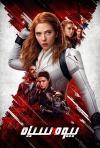 Poster 303
