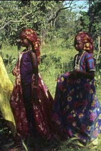 Poster for La Femme Volée