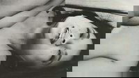 Backdrop 2