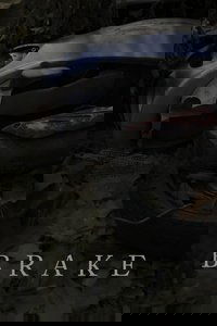 Brake