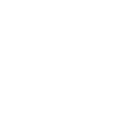 Logo 15