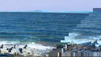 Backdrop 0