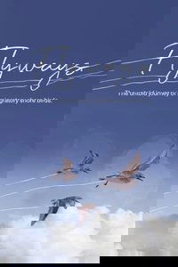 Flyways
