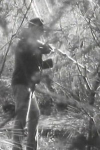 The Stringybark Creek Massacre